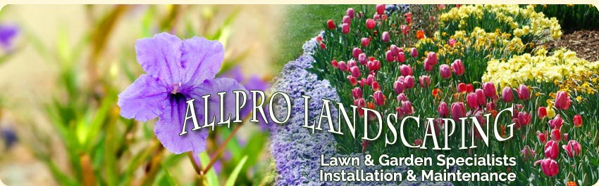 Allpro Landscaping Services